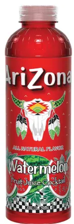 Arizona 20 Oz Bottle - Watermelon