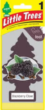 Little Tree AF Blackberry Clove 24ct