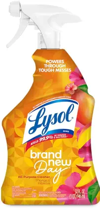 Lysol All Purpose Cleaner Trigger Mango 22 oz