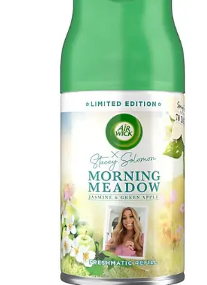 [Air Wick Spray Kit Morning Meadow 250ml] Air Wick Spray Kit Morning Meadow 250ml
