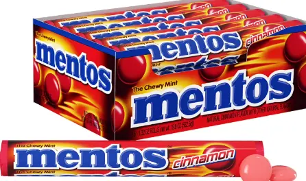 [Mentos Cinnamon 15-1.32oz] Mentos Cinnamon 15-1.32oz