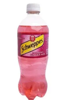 [Schweppes Ginger Ale Raspberry 24-20 Oz] Schweppes Ginger Ale Raspberry (Deposit Included)