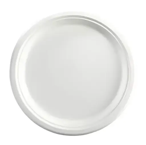 BIO ROUND PLATE 10INCH 20CT